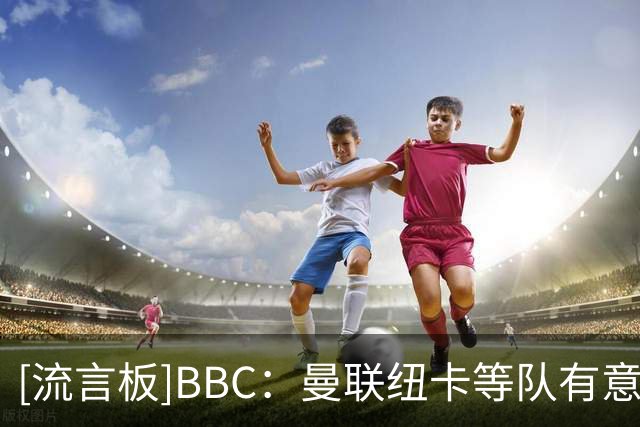 [流言板]BBC：曼联纽卡等队有意博塔弗戈中场，巴西国脚达尼洛